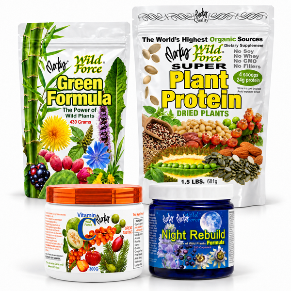 Protein, Greens, Night Rebuild, and Vitamin C Set, everything in the set