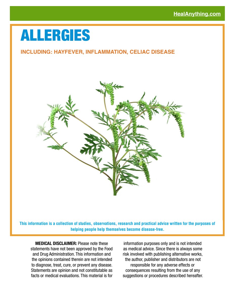 ALLERGIES: Hayfever, Inflammation, & Celiac Disease (54 page e-booklet)