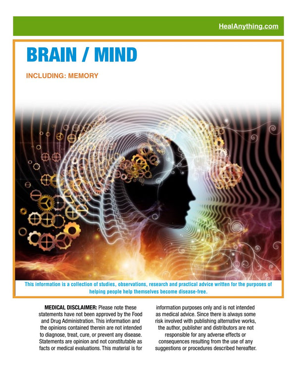 BRAIN / MIND (64 page e-booklet)