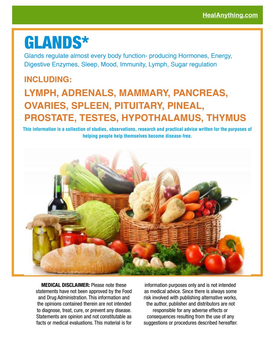 GLANDS (46 page e-booklet)