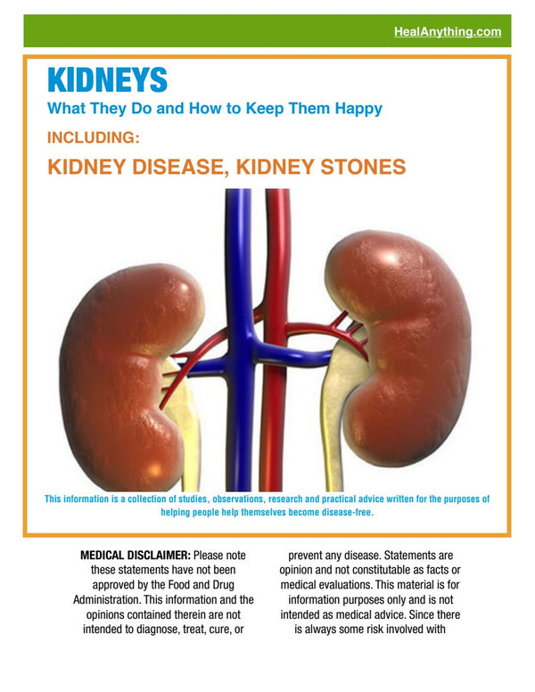 KIDNEYS (42 page e-booklet)