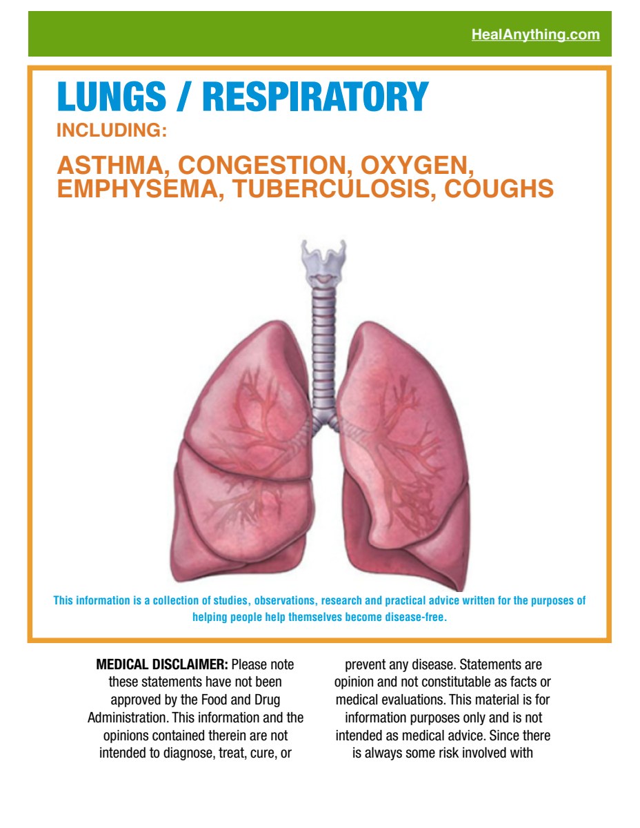 LUNGS / RESPIRATORY (66 page e-booklet)