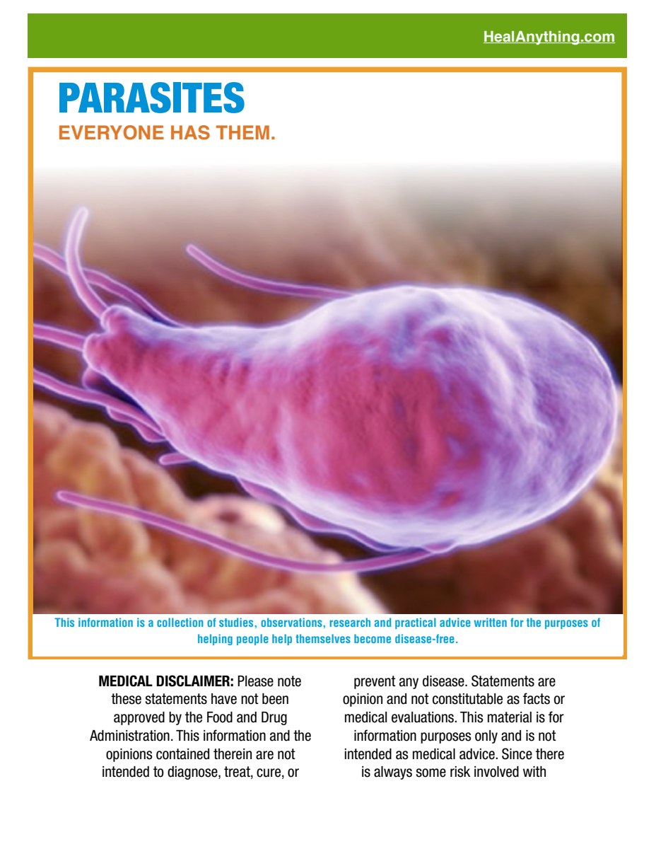 PARASITES (58 page e-booklet)