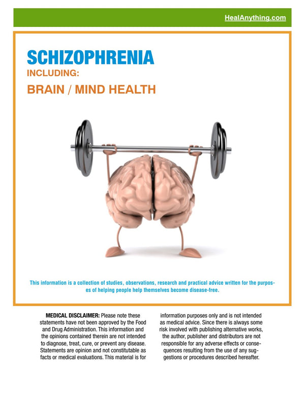 SCHIZOPHRENIA (61 page e-booklet)