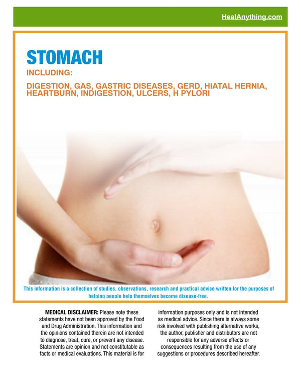 STOMACH (67 page e-booklet)