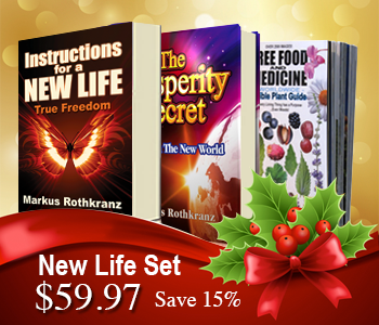 New Life Holiday Set